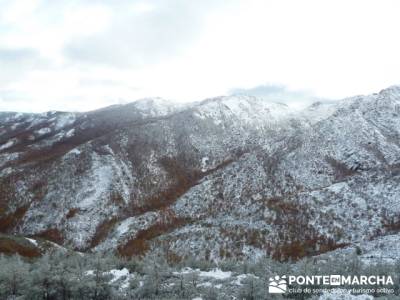 Hayedo de Pedrosa - Parque Natural Sierra Norte de Guadalajara - Hayedo de Tejera Negra